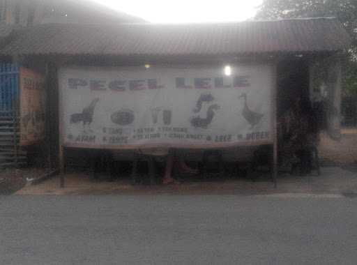 Pecel Lele Om Wah 5