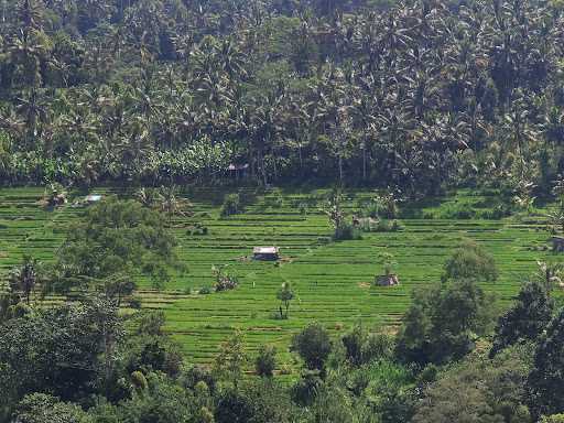 Pondok Taman Sari 4