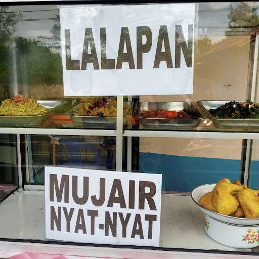 Warung Makan Putri Rimba 4