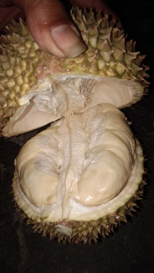 Raffa Durian 2