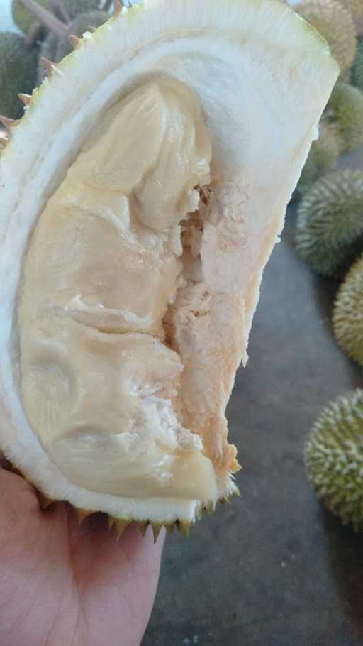 Raffa Durian 1