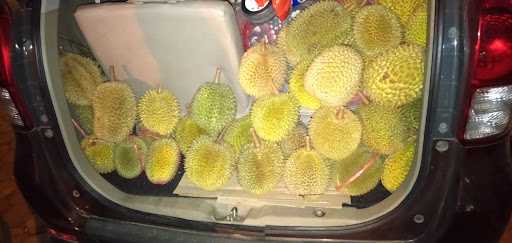 Raffa Durian 4