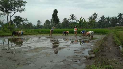 Angkringan Mbayan 8