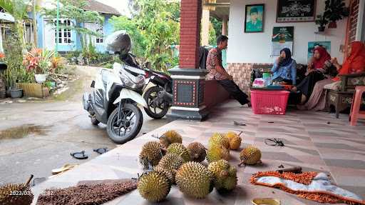 Durian Lokal Rohati 7