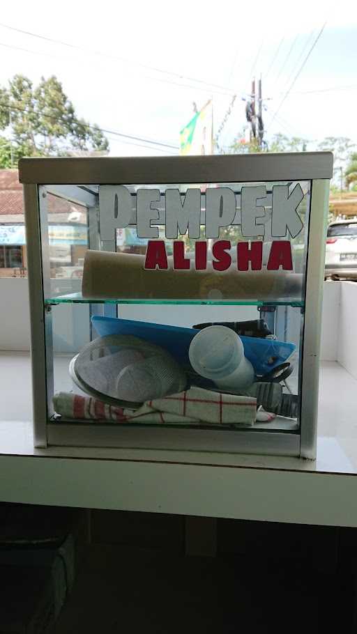 Pempek Alisha 4