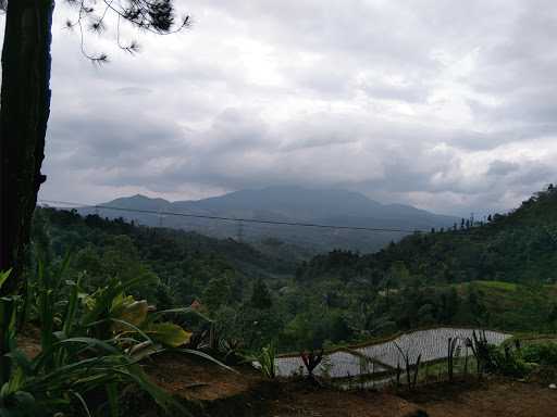 Kedai Kopi Hutan Pinus Gunung Lukun 2