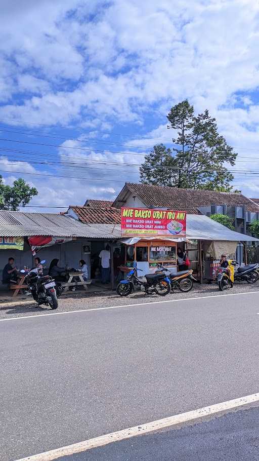 Mie Bakso Ibu Ani 6