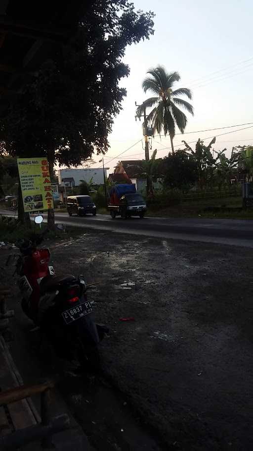 Rumah Makan Bebek Sukahati 10