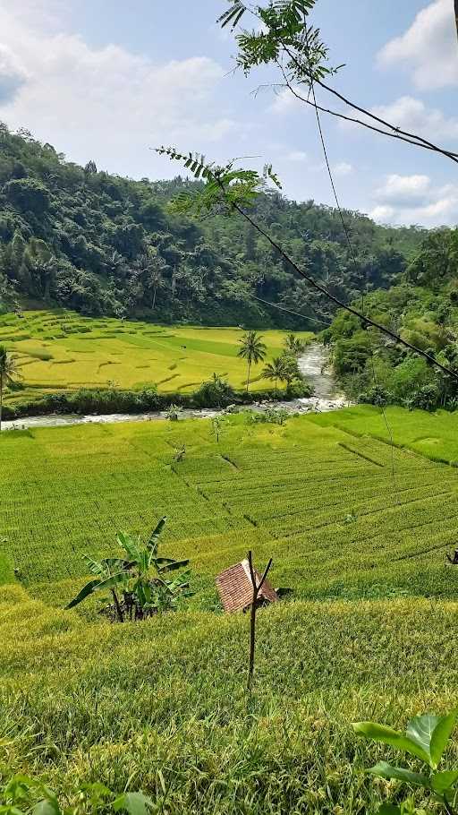 Warung Kopi Tanjakan Bohong 10