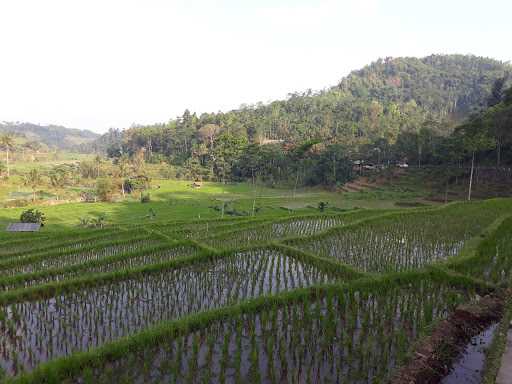 Warung Kopi Tanjakan Bohong 9