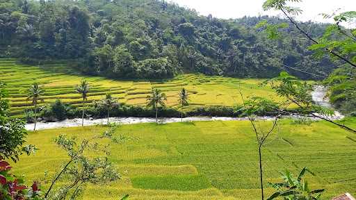 Warung Kopi Tanjakan Bohong 8