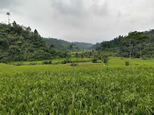 Warung Kopi Tanjakan Bohong 6