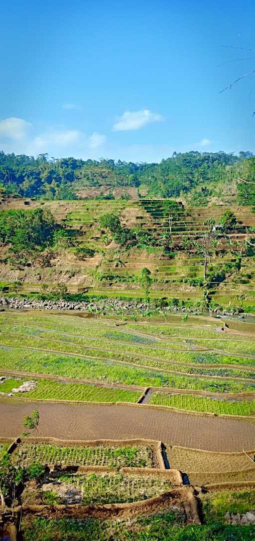 Warung Kopi Tanjakan Bohong 4