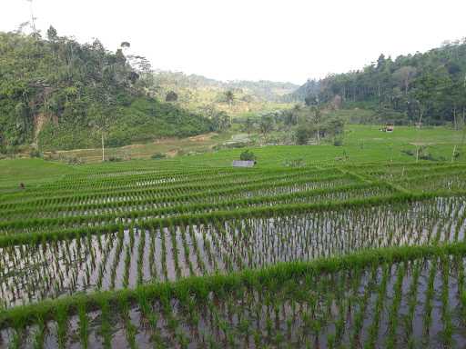 Warung Kopi Tanjakan Bohong 3