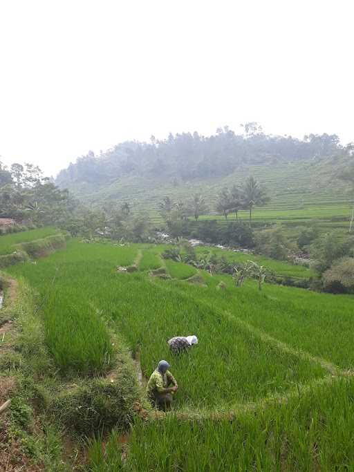 Warung Nasi Al-Jabbaar 6