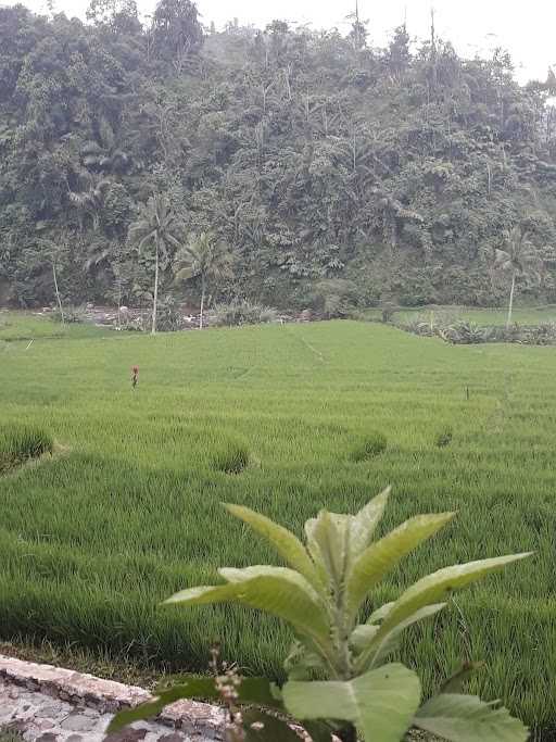 Warung Nasi Mekar Sari 5