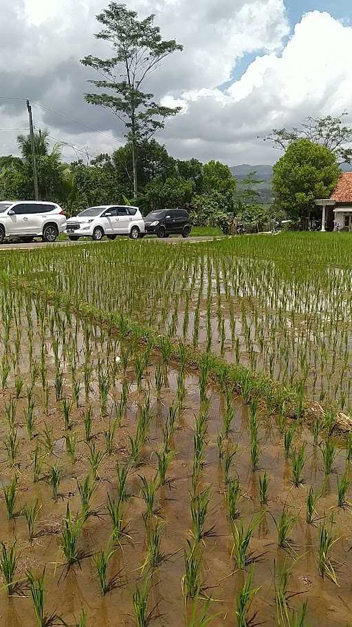 Lesehan Siwah Ibu Nonong 8