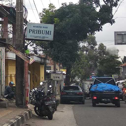 Warung Nasi Pribumi 1