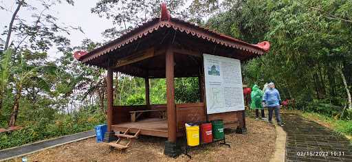 Warung Makan Puncak Widosari 8