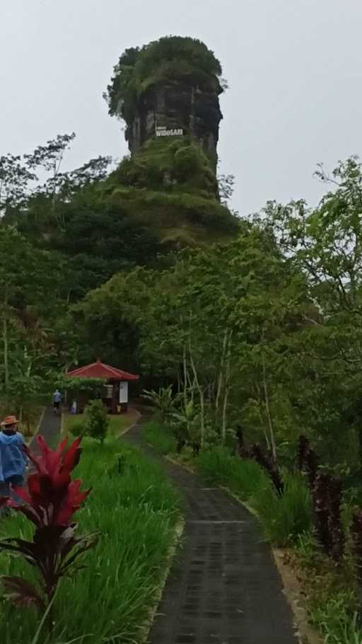 Warung Makan Puncak Widosari 7