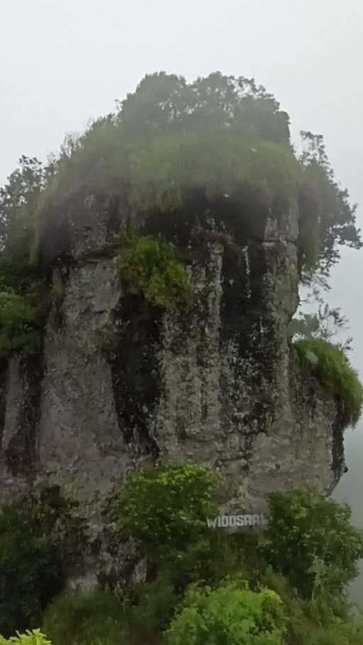 Warung Makan Puncak Widosari 6