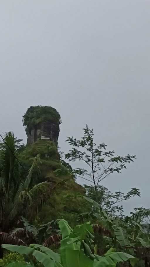 Warung Makan Puncak Widosari 4