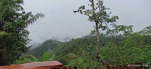 Warung Makan Puncak Widosari 1