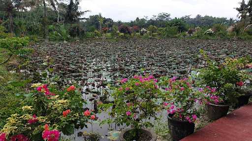 Pemancingan & Lesehan Rawa Klepu 7