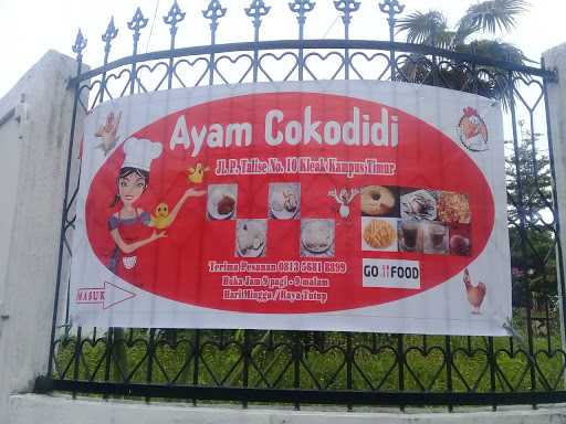 Ayam Cokodidi Kampus Kleak 10