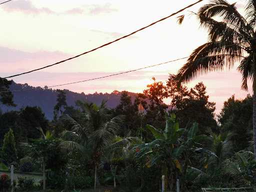 Kopi Lubak Galungan 6