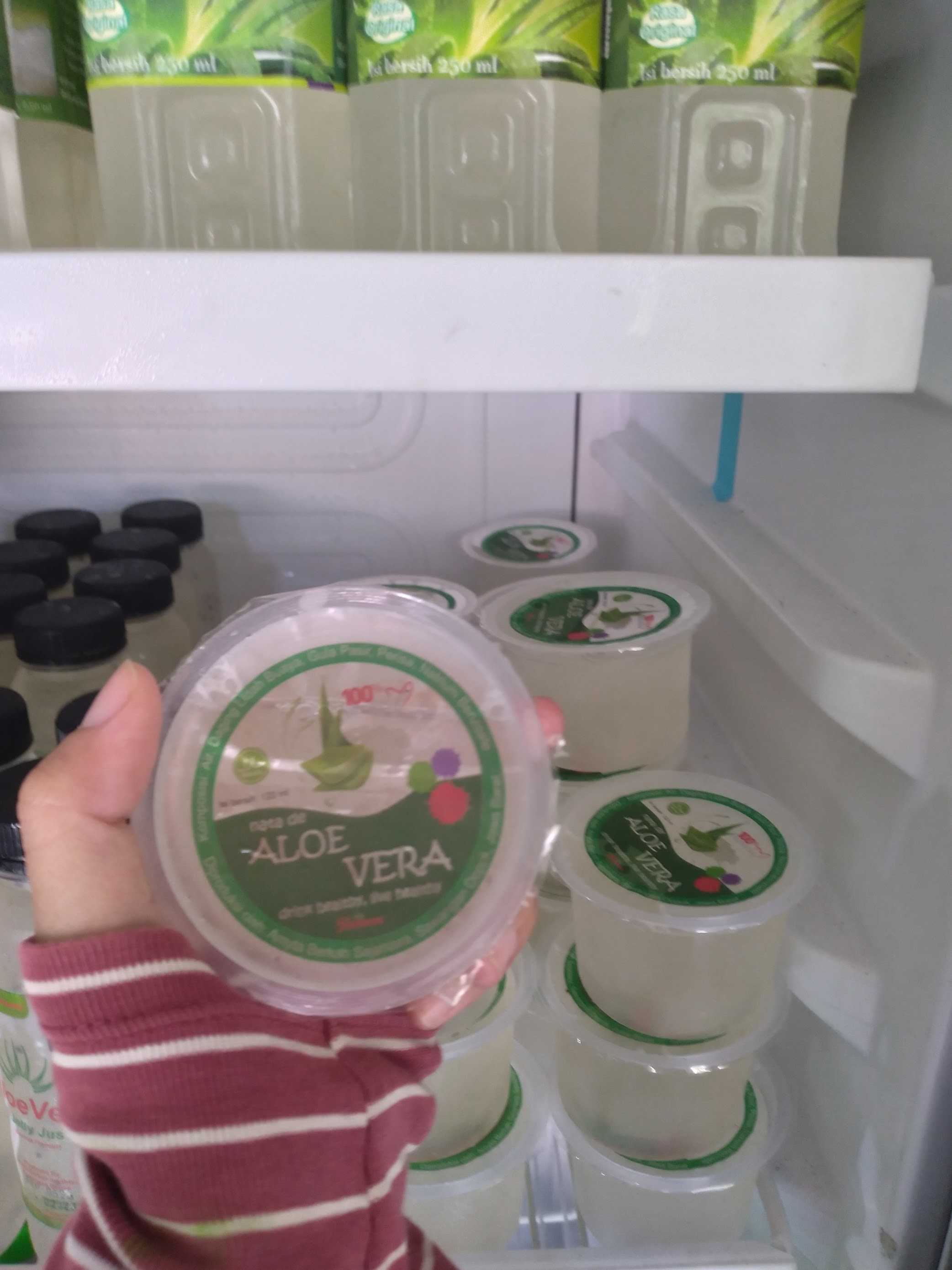 Herbavera Indonesia: Rumah Produksi Olahan Aloevera Lidah Buaya 5