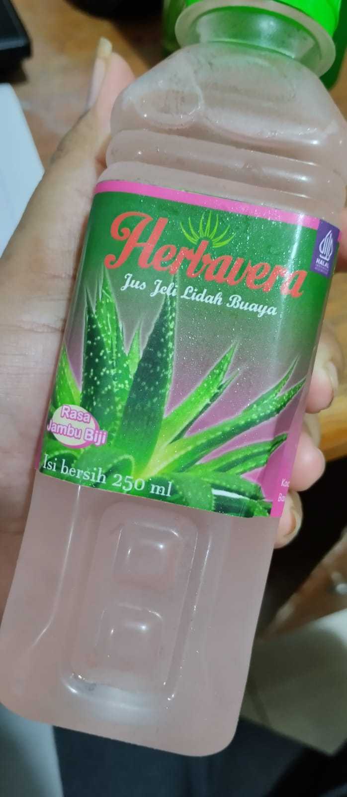 Herbavera Indonesia: Rumah Produksi Olahan Aloevera Lidah Buaya 10