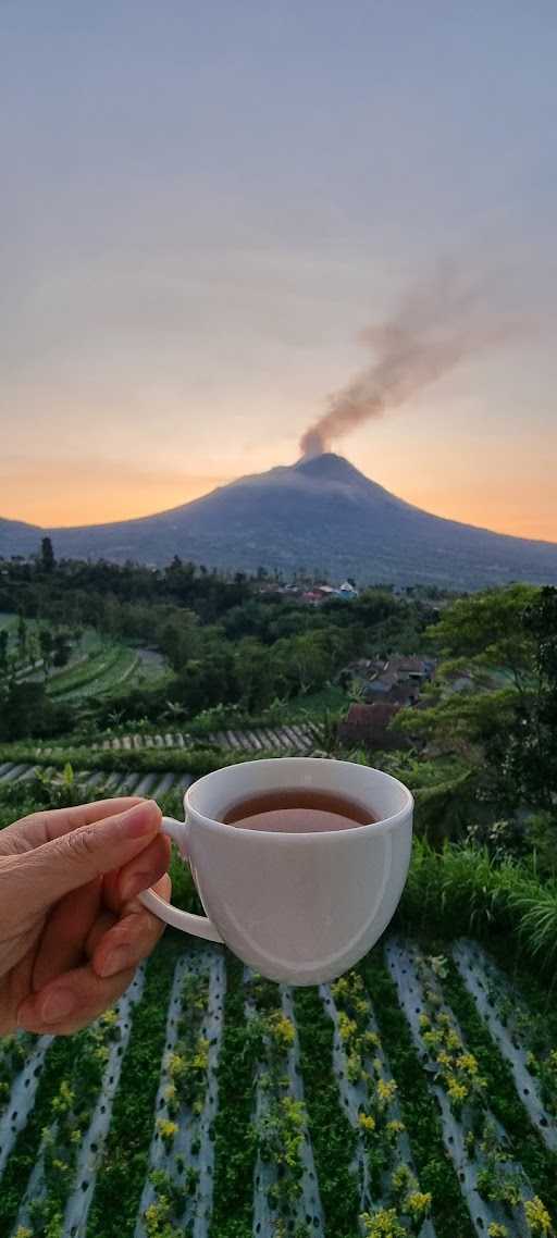 Pesona Ketep 2