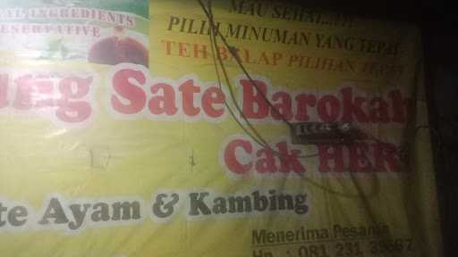 Cak Heri Sate Ayam & Kambing 4