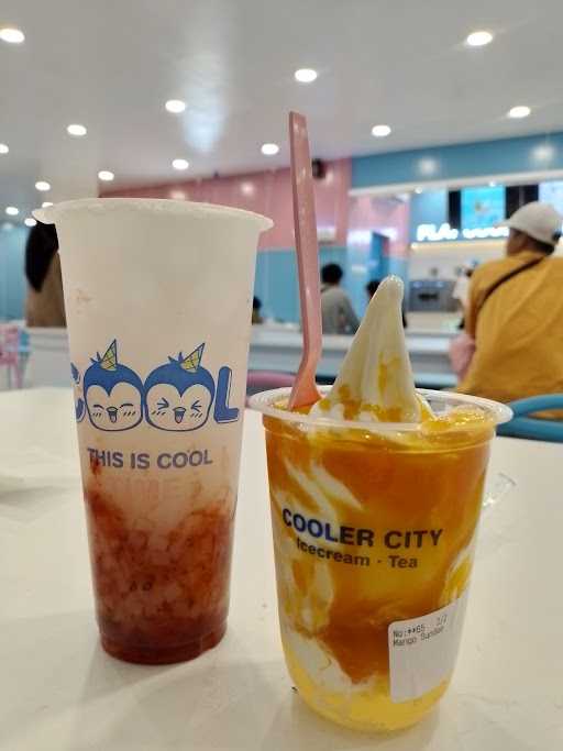 Cooler City Sedati 1