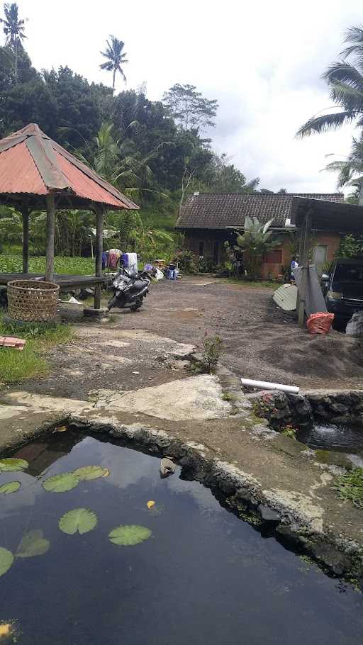 Warung Kangkung Mbok Dayu 9