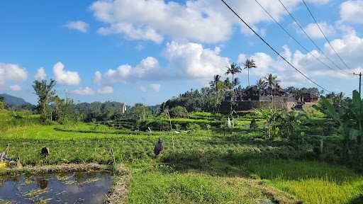 Warung Kangkung Mbok Dayu 10