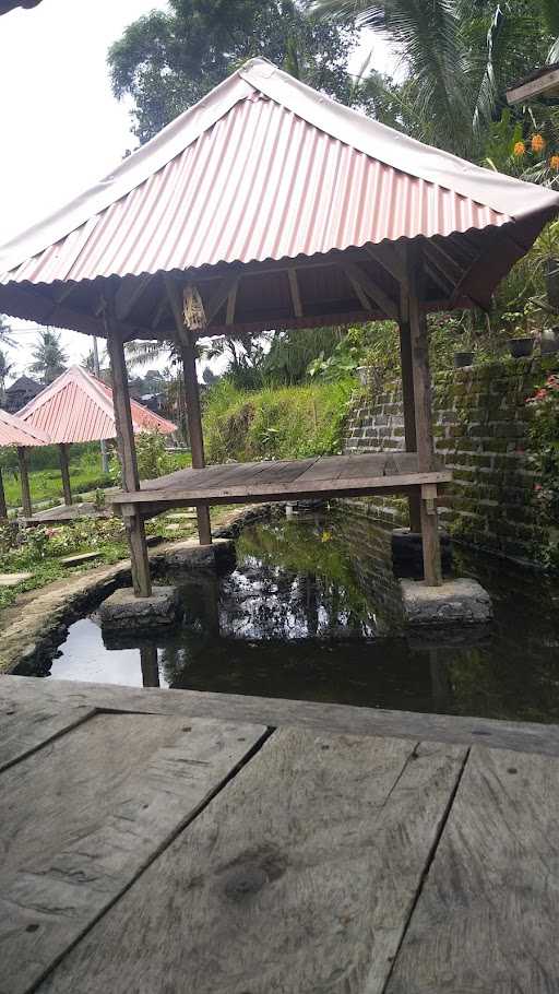 Warung Kangkung Mbok Dayu 7