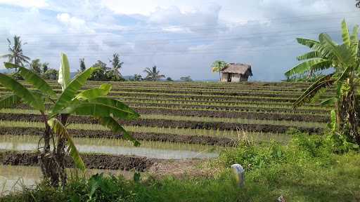 Warung Barokah 9