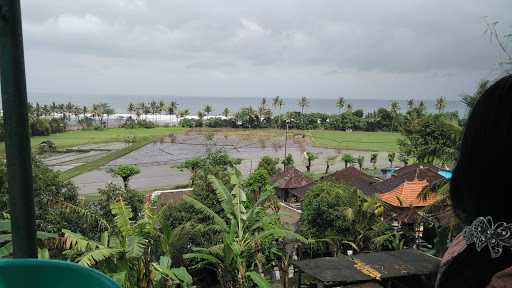 Warung Jawa Banyuwangi 3