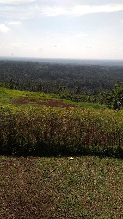 Tapa Hill Bali 4