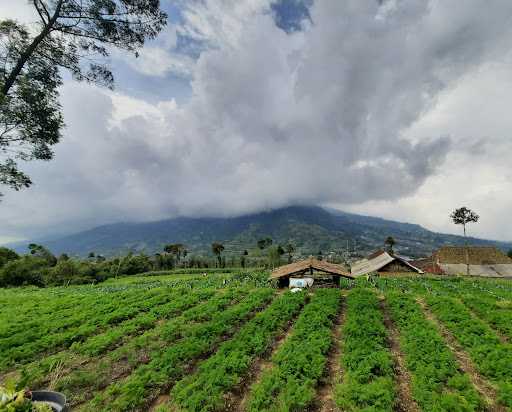 Warkop Arabika Merapi 6