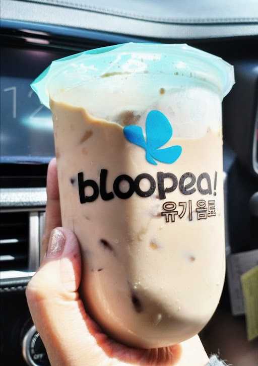 Bloopea 1