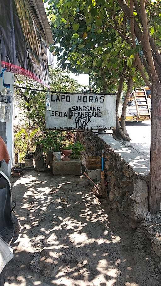 Lapo Horas 4