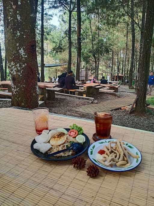 Cafe Hutan Pinus 1