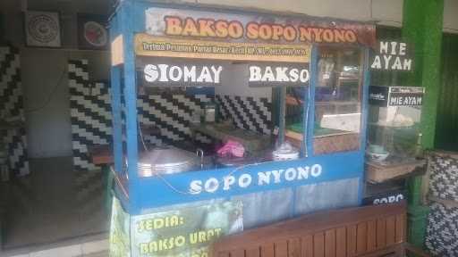 Rumah Bakso Sopo Nyono 8