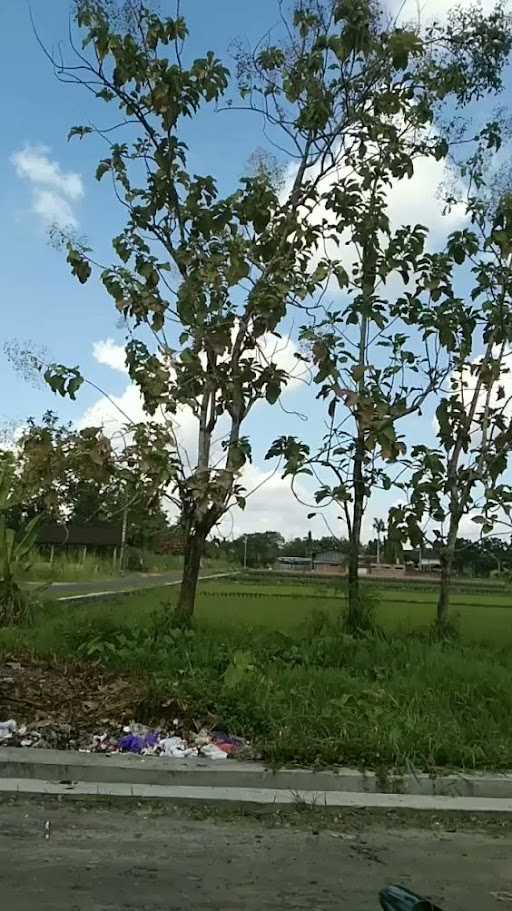 Mie Ayam & Bakso Ppsj Mbak Yanti 2