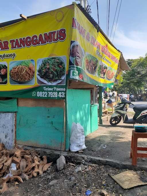 Ayam&Ikan Bakar Tanggamus 9