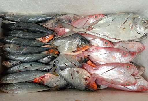 Ikan Bakar Cing Empat 9