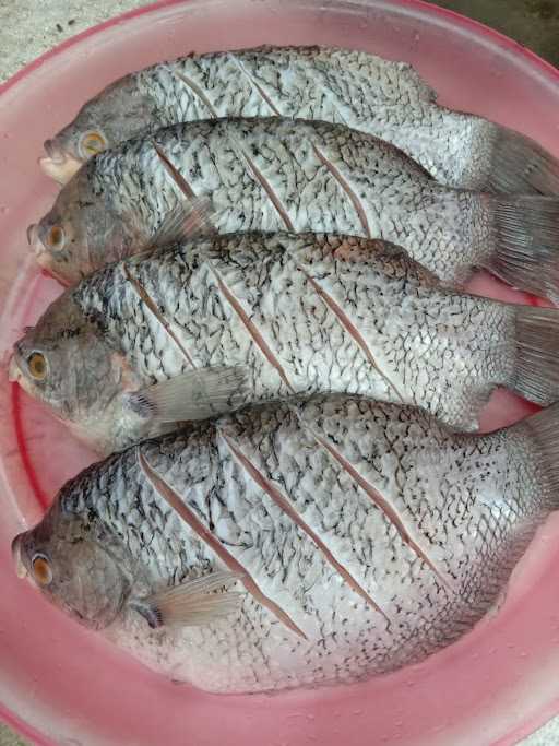 Ikan Bakar Cing Empat 8